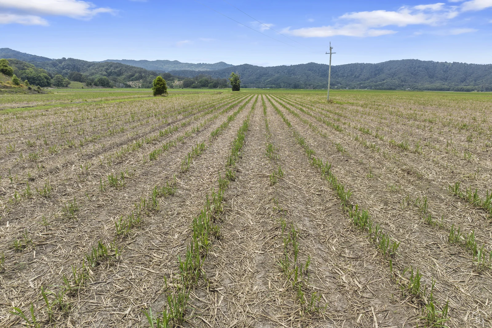 Additional image 12 of 193 Dulguigan Road, Dulguigan NSW 2484