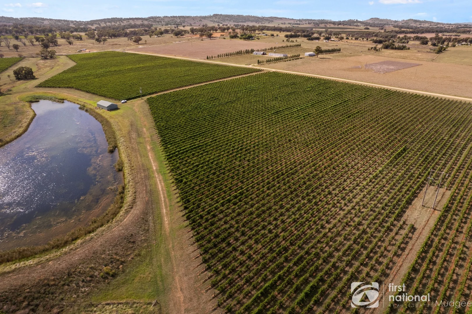 70 Shiraz Drive, Gulgong NSW 2852