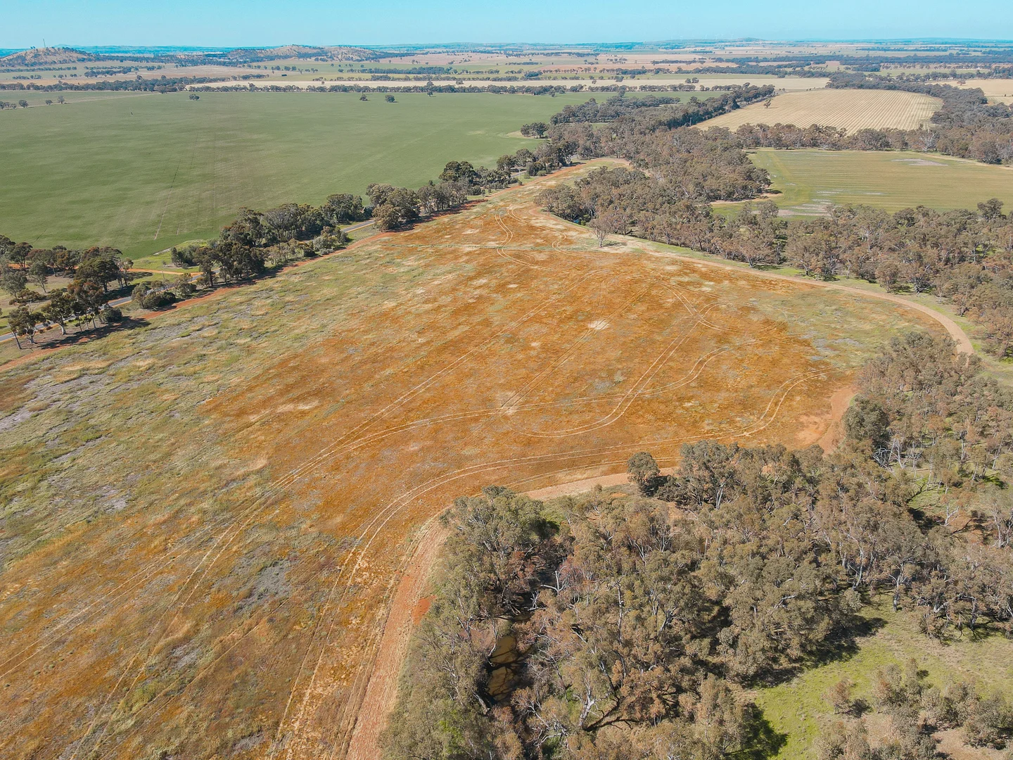 Additional image 5 of Teddywaddy VIC 3527