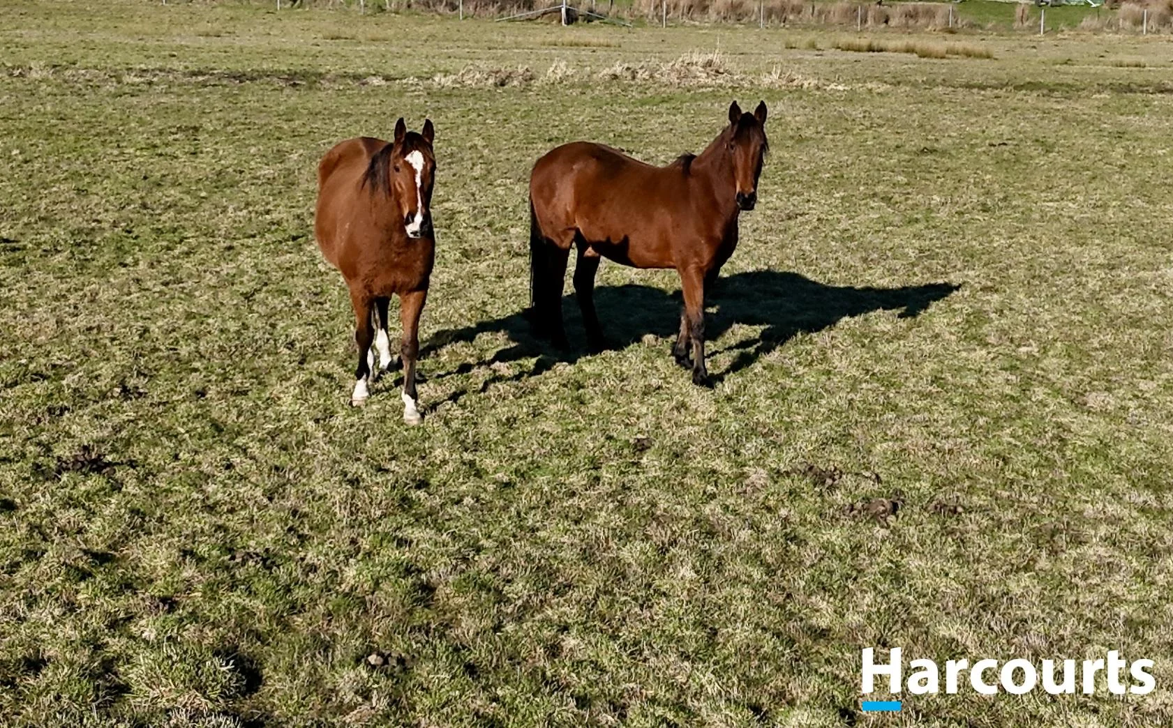 Additional image 5 of 25 Cemetery Road, Beaconsfield TAS 7270