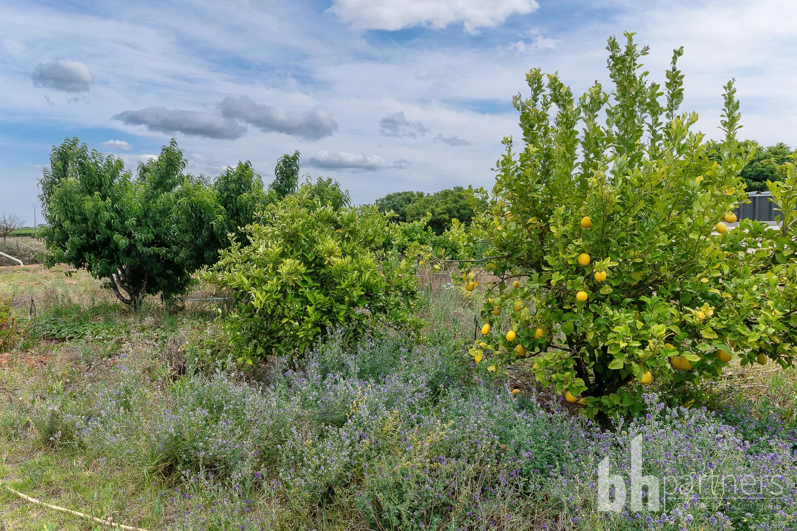 Additional image 25 of 615 Hunt Road, Barmera SA 5345