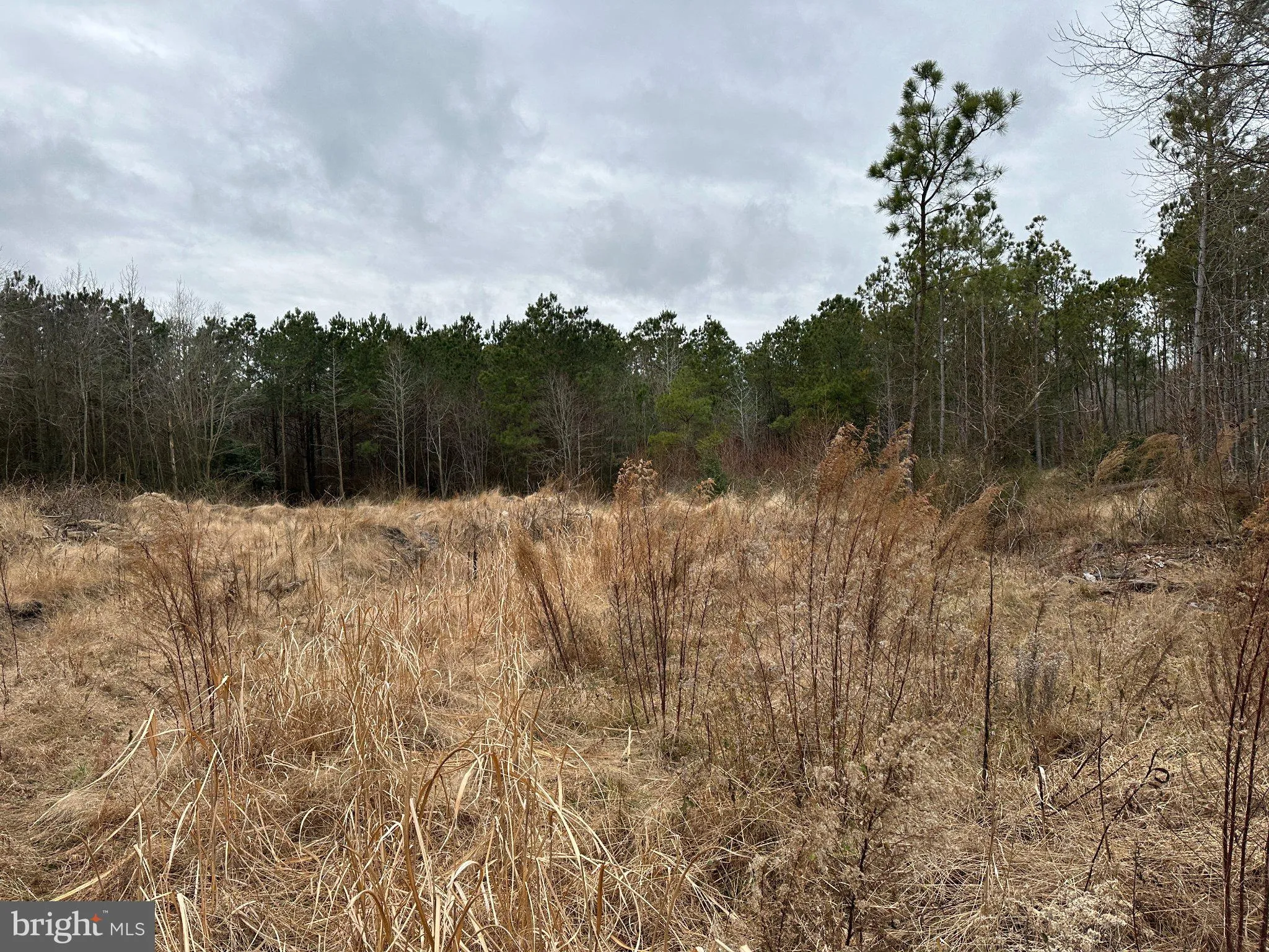 Additional image 19 of Owens Road, Greenwood, DE 19950