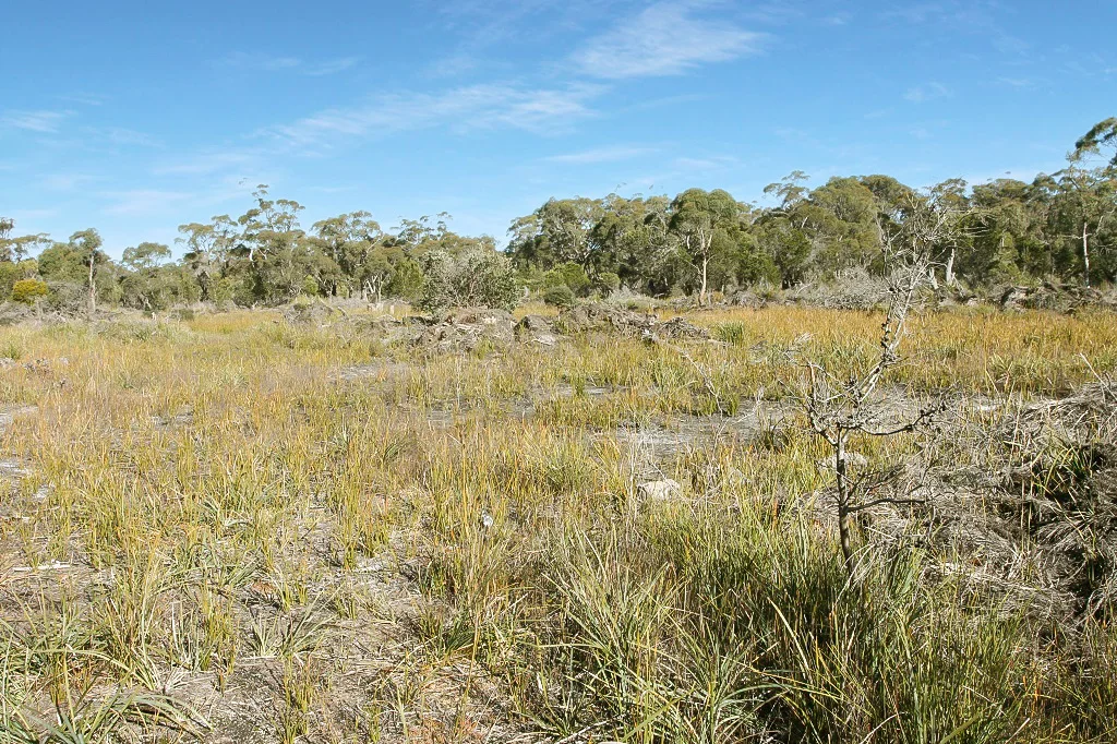 Additional image 7 of PID 7384430 North Ansons Road, Gladstone TAS 7264