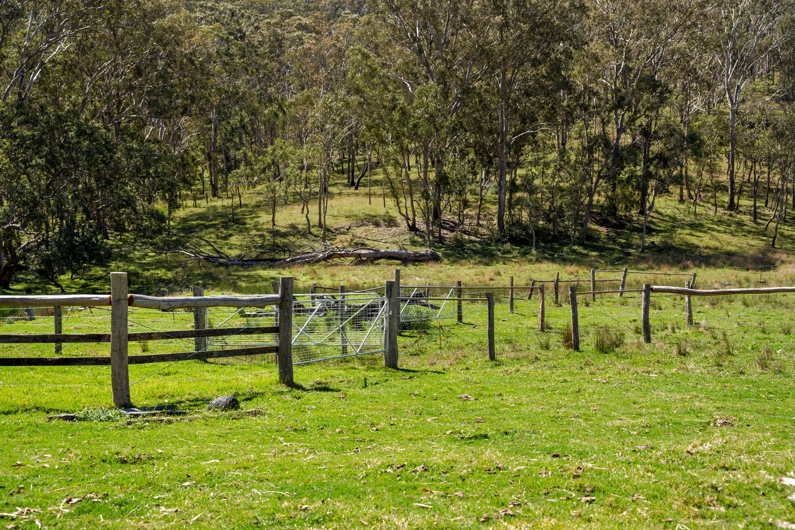 Additional image 9 of 'Yabragunyah' Pilton Valley Road, Upper Pilton QLD 4361