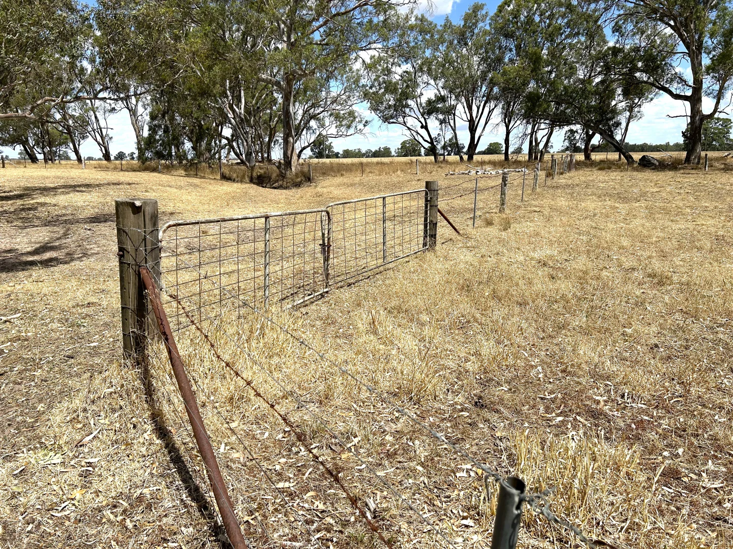 Additional image 4 of 1287 Charam-wombelano Road, Charam VIC 3318