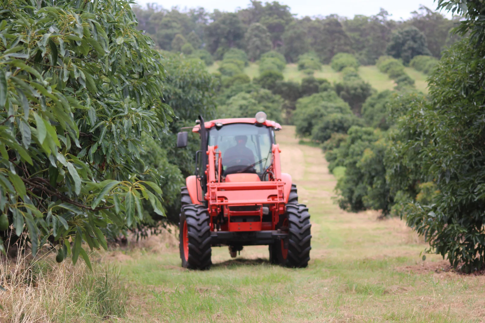 Additional image 37 of 107 Cherry Creek Road, Cherry Creek QLD 4314