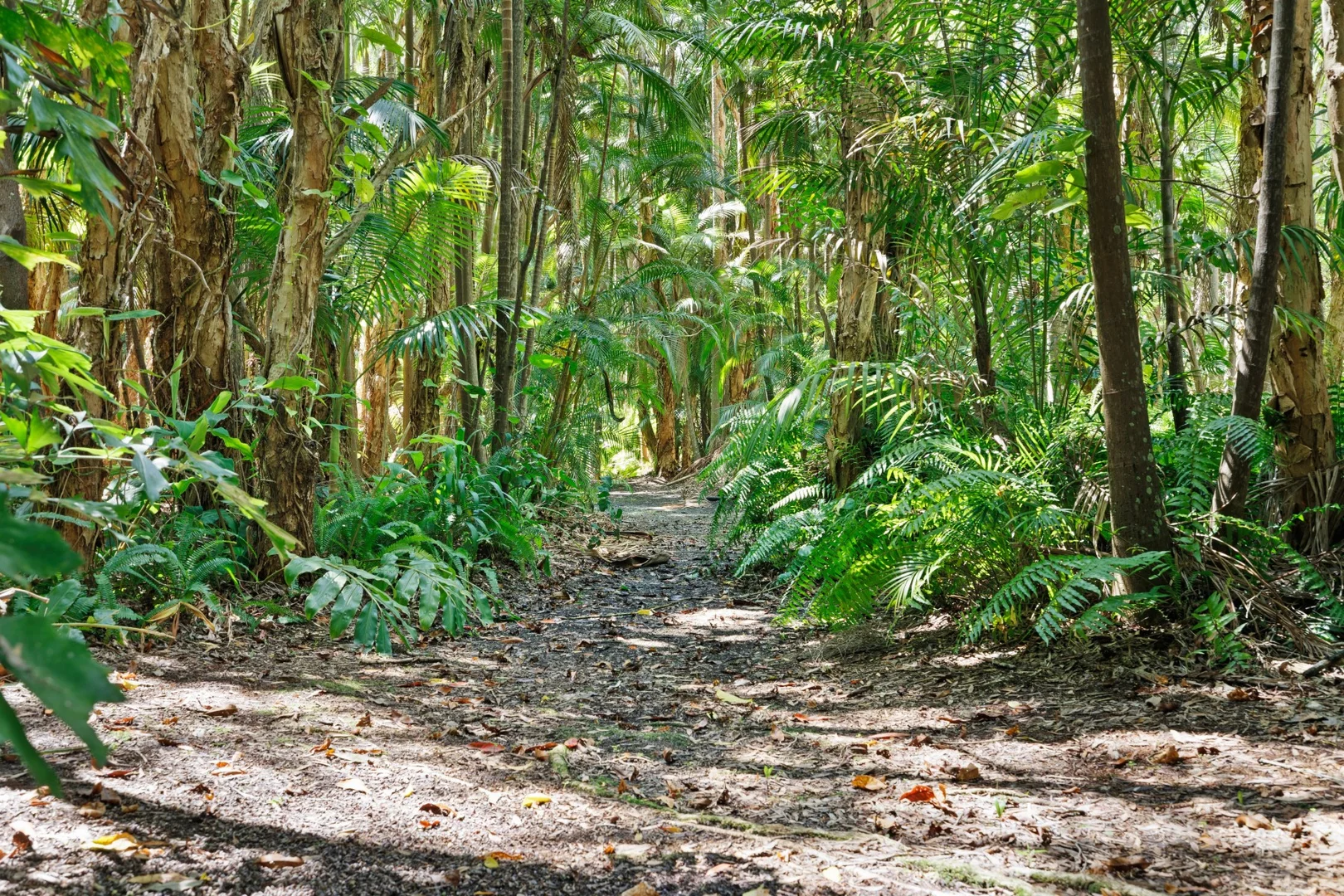 Additional image 6 of 364 Ewingsdale Road, Byron Bay NSW 2481