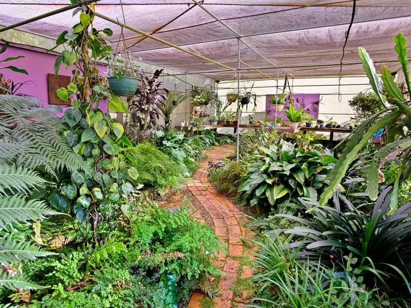 Additional image 25 of 14 Sheltie Pl, Nabiac NSW 2312