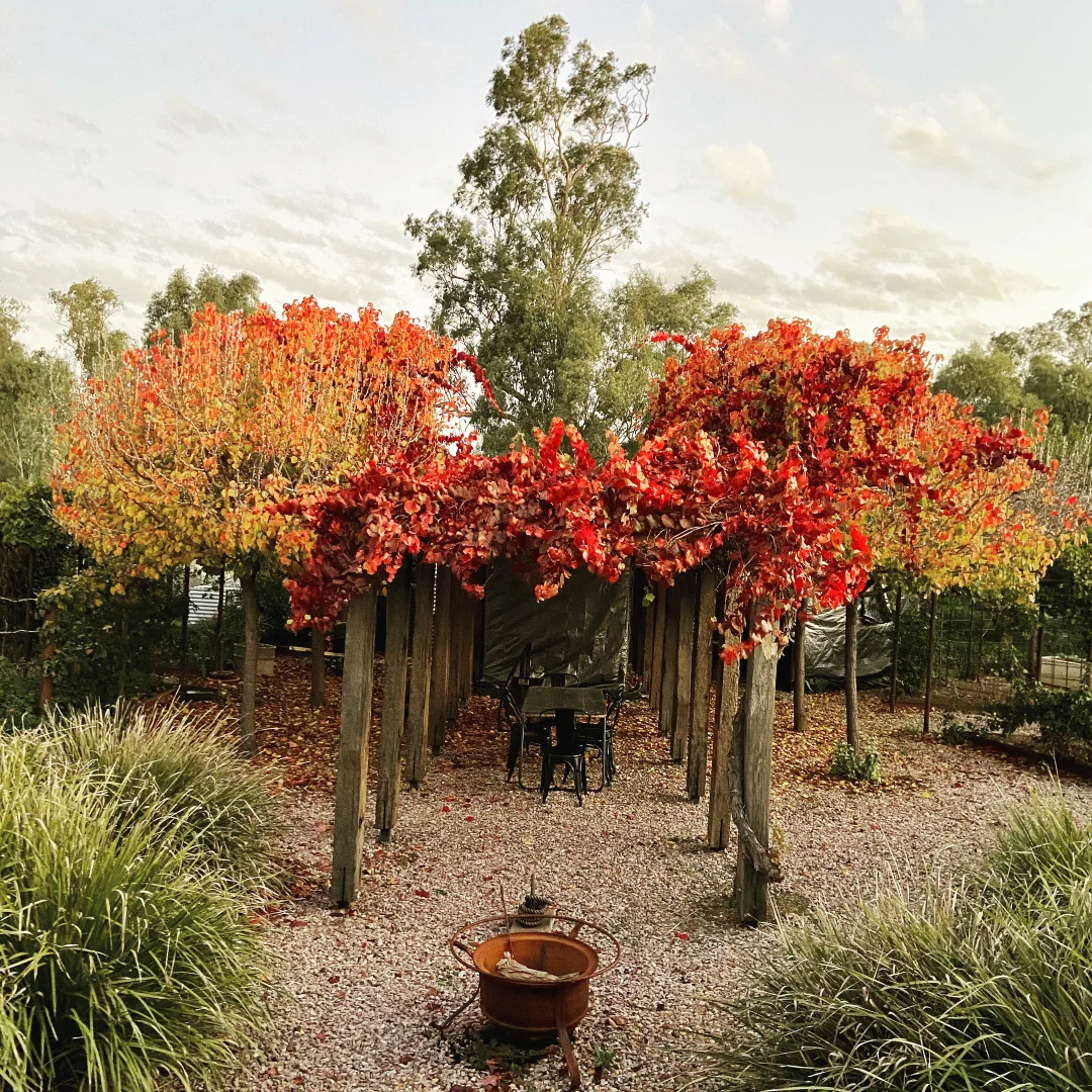 Additional image 16 of Girragirra Retreat , Warrul Road, Forbes NSW 2871