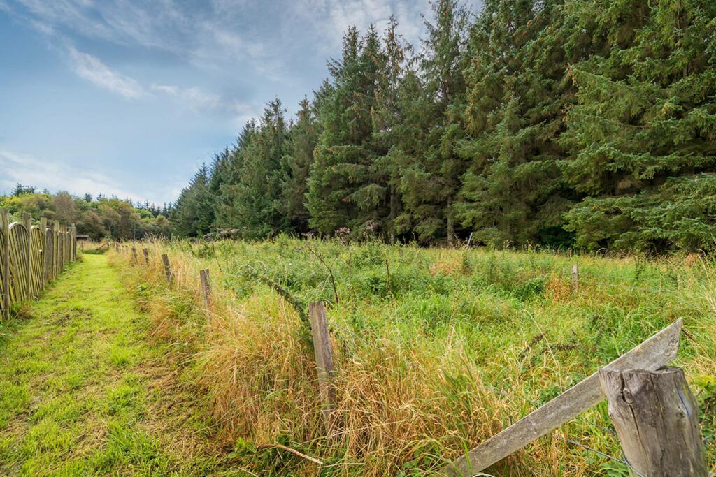 Additional image 40 of Bauds Pet Care and Garden Centre, Woodhead Bauds, Buckie, AB56 4DY