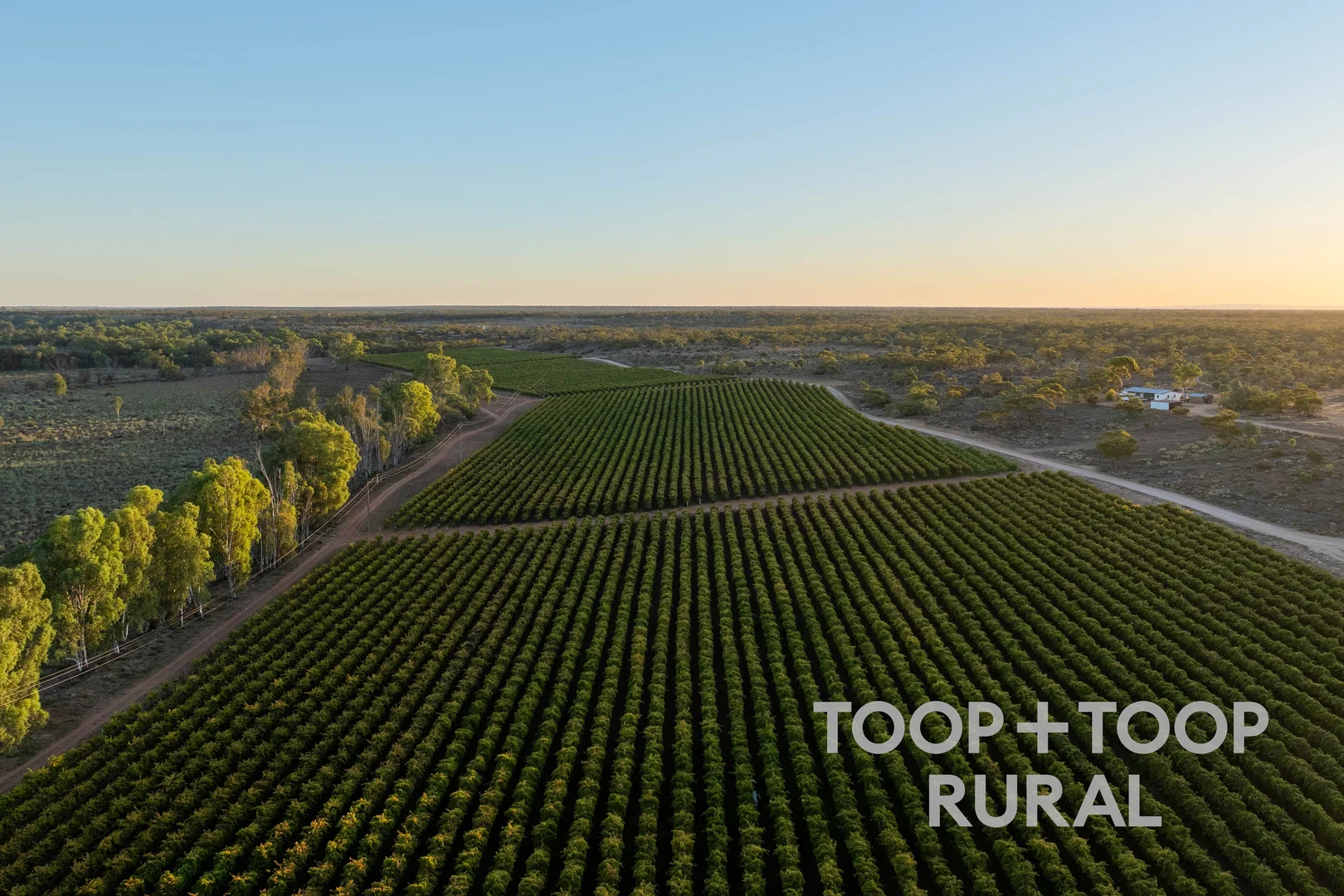 Additional image 6 of 365 Murraylands Road, Morgan SA 5320