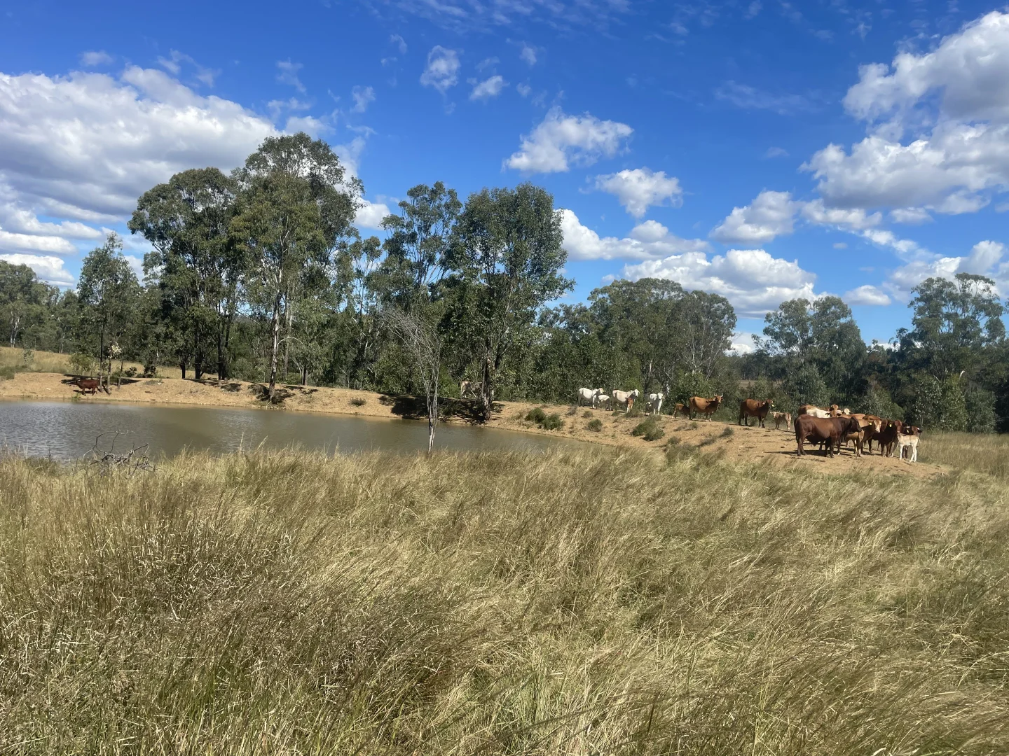 Additional image 3 of Lot 33, 34 & 35 Bilboolan Road, Mungy QLD 4671