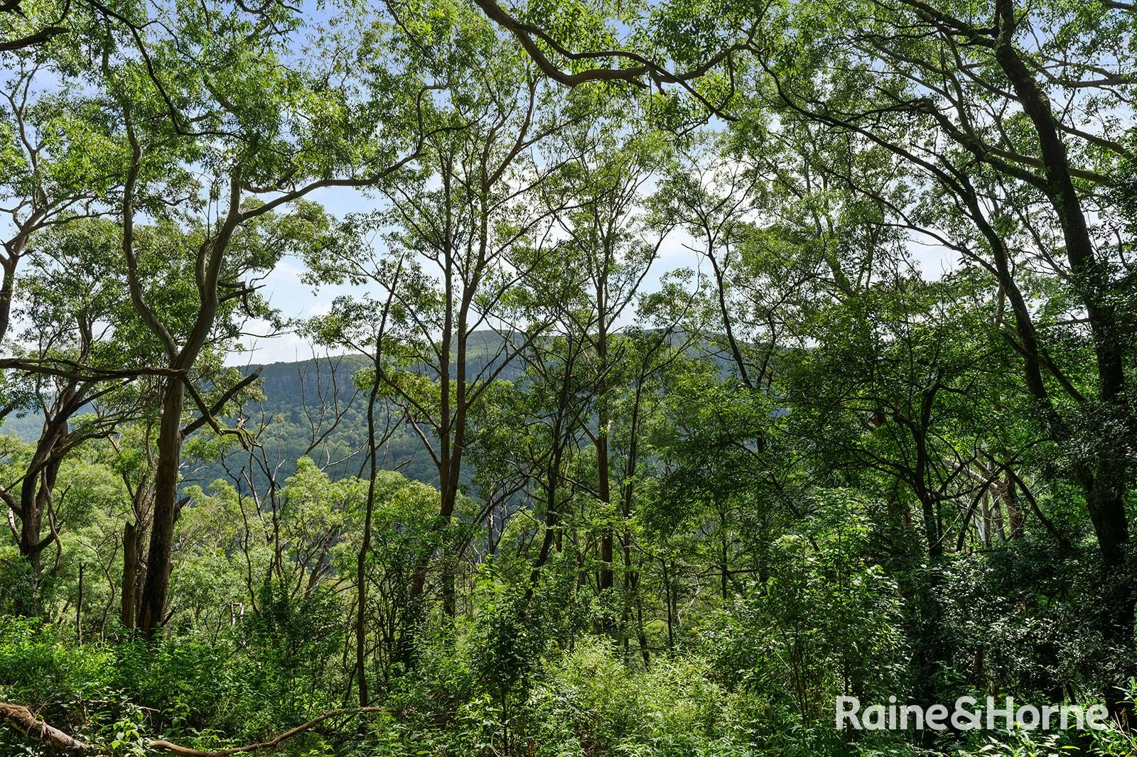 Additional image 20 of Lot 1 Selbys Road, Budgong NSW 2577