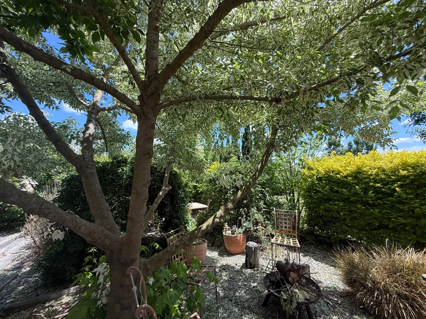 Additional image 28 of 100 MOLESWORTH STREET, Tenterfield NSW 2372