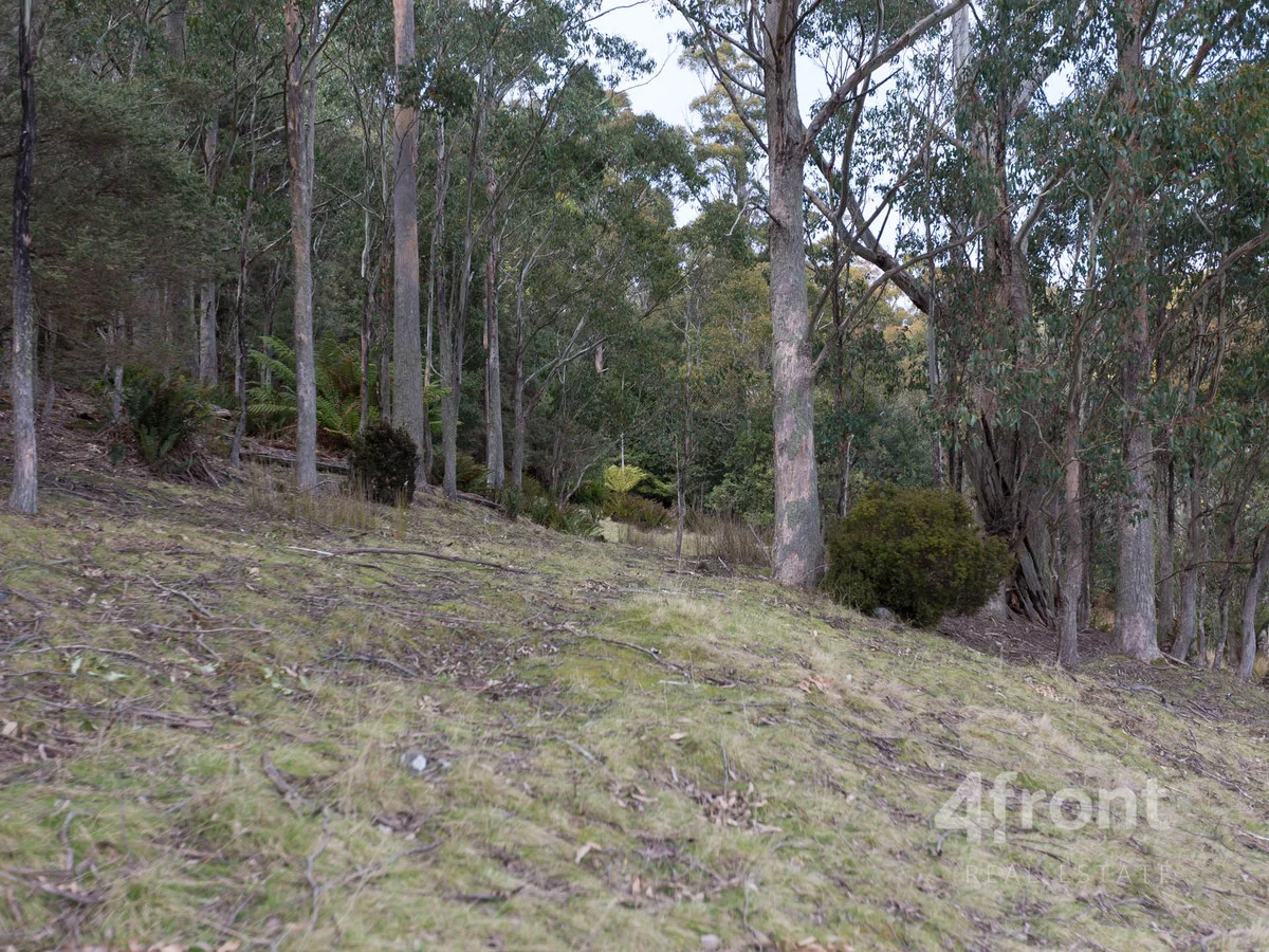 Additional image 20 of 1 and 2/141 Tiers View Road, Golden Valley TAS 7304