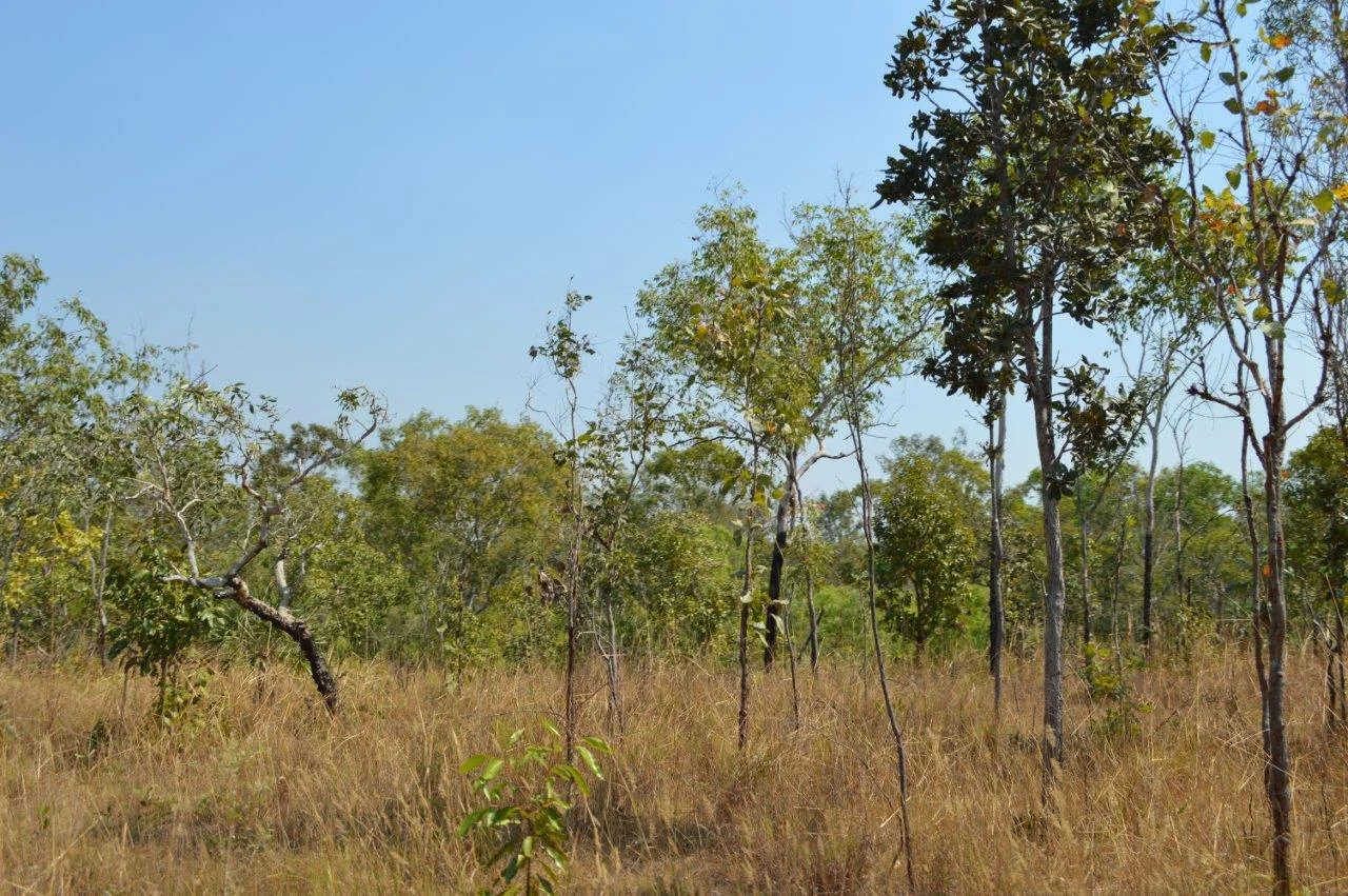 Additional image 19 of Acacia Hills NT 0822