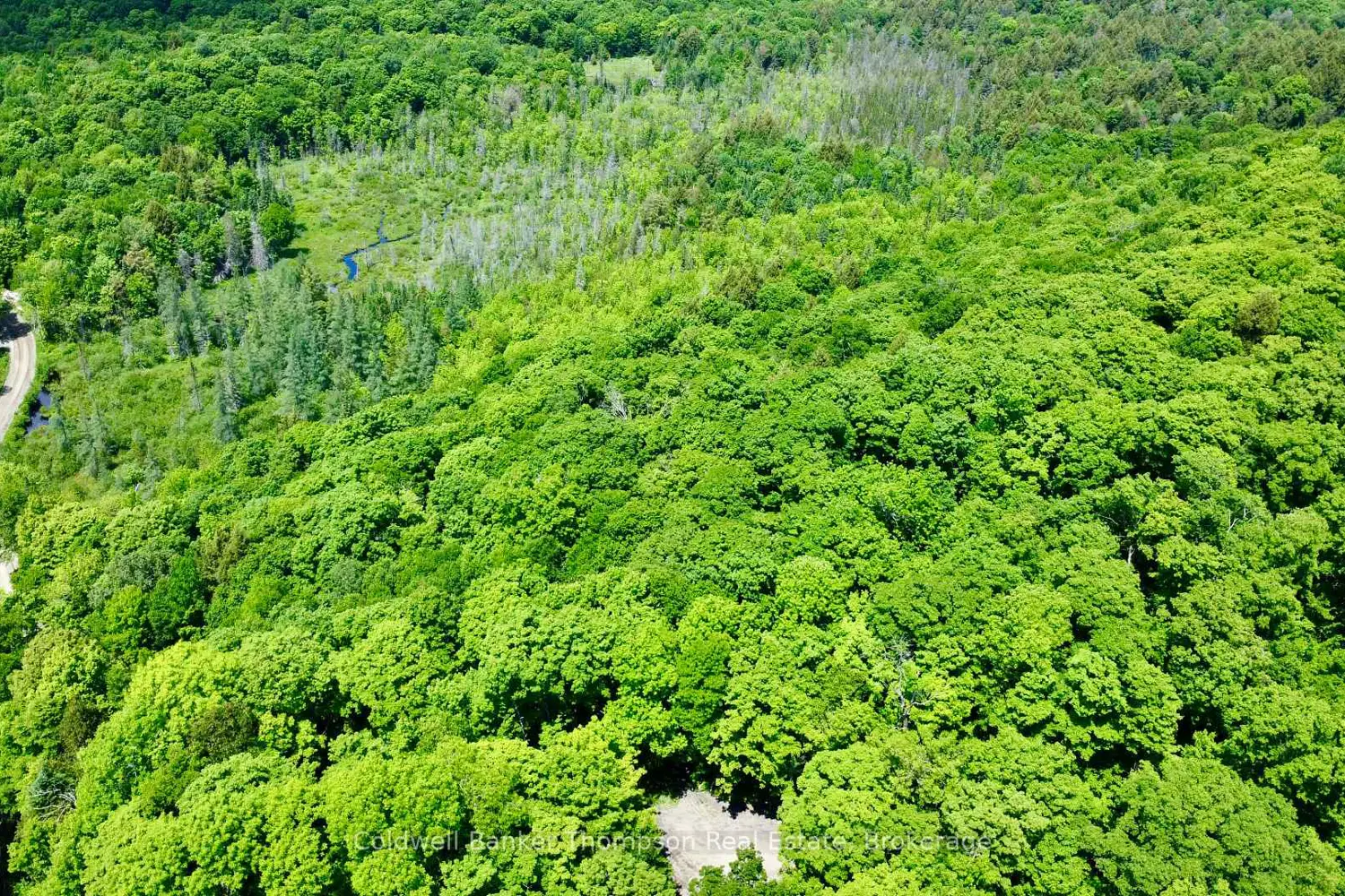 Additional image 10 of 265 Sharon Drive