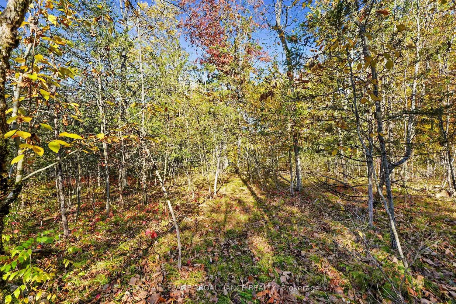 Additional image 18 of Lot 2 Hillside Drive