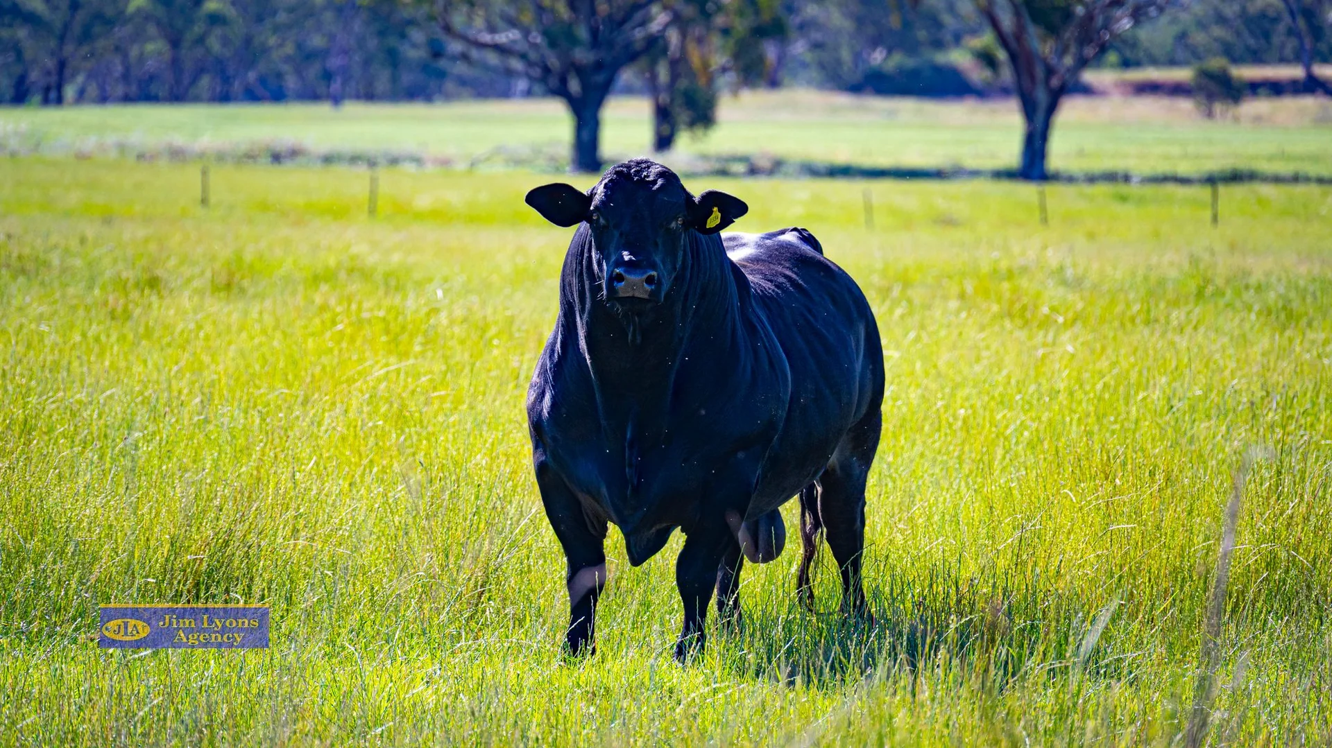 Additional image 31 of 4E Ranch Ascot-Calala Road, Tamworth NSW 2340