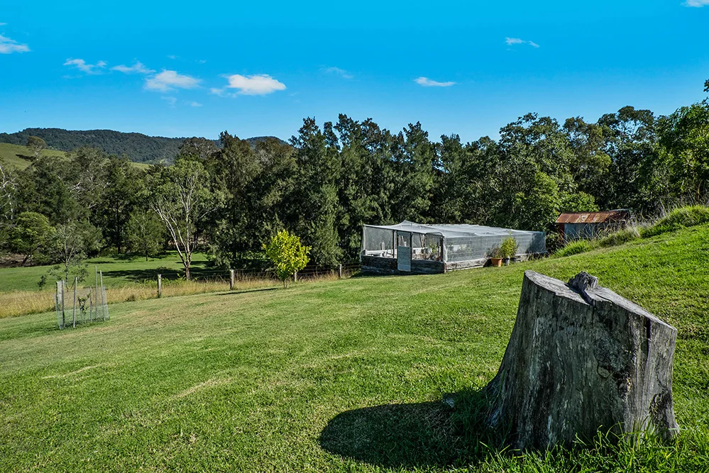Additional image 21 of 3243 Paterson River Road, Carrabolla NSW 2311