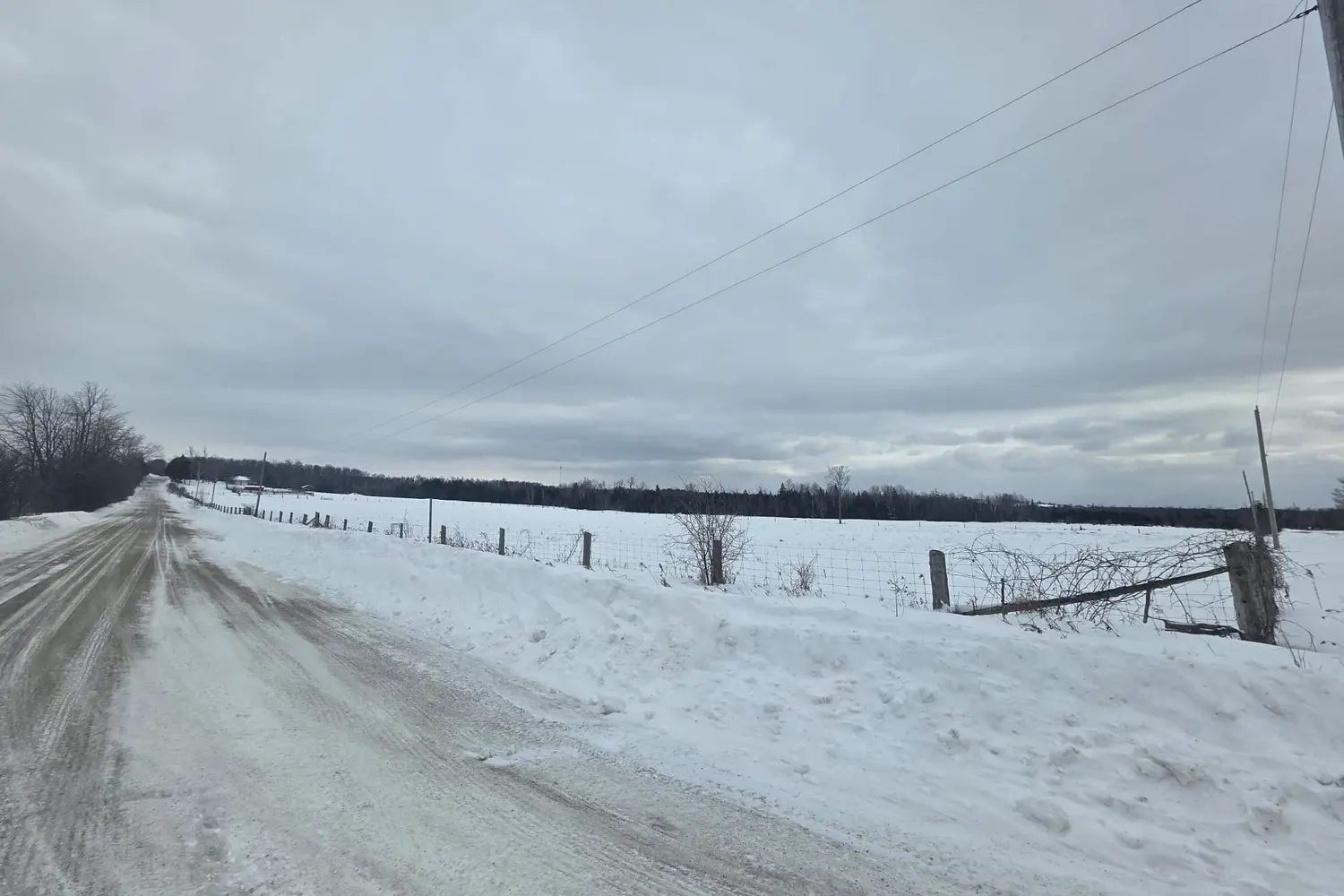 Additional image 12 of 36 Sugar Bush Road