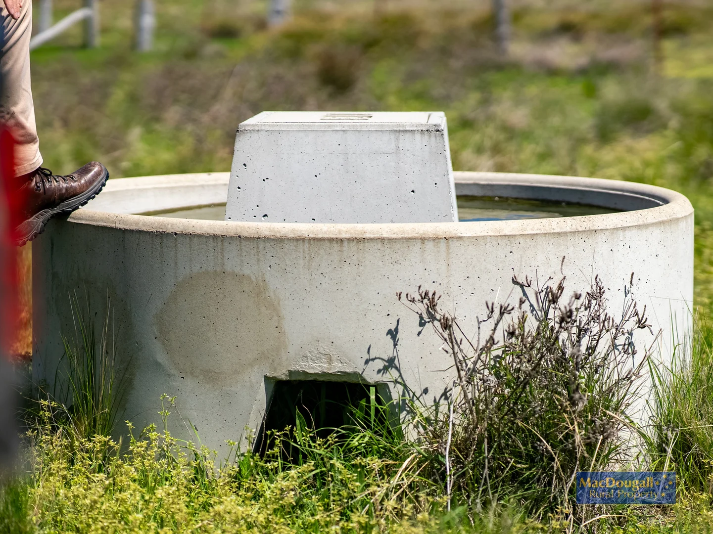 Additional image 17 of 384 Dry Creek Road, Georges Creek NSW 2365