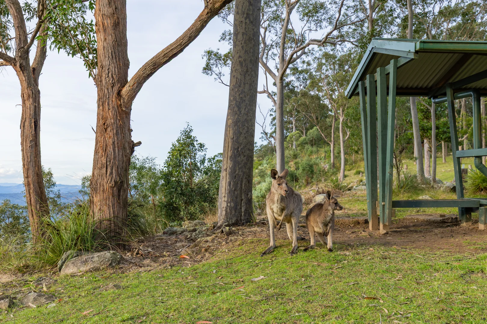 Additional image 31 of 523 Moonabung Road, Vacy NSW 2421