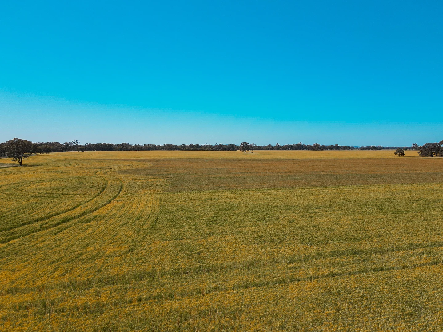 Additional image 20 of Teddywaddy VIC 3527