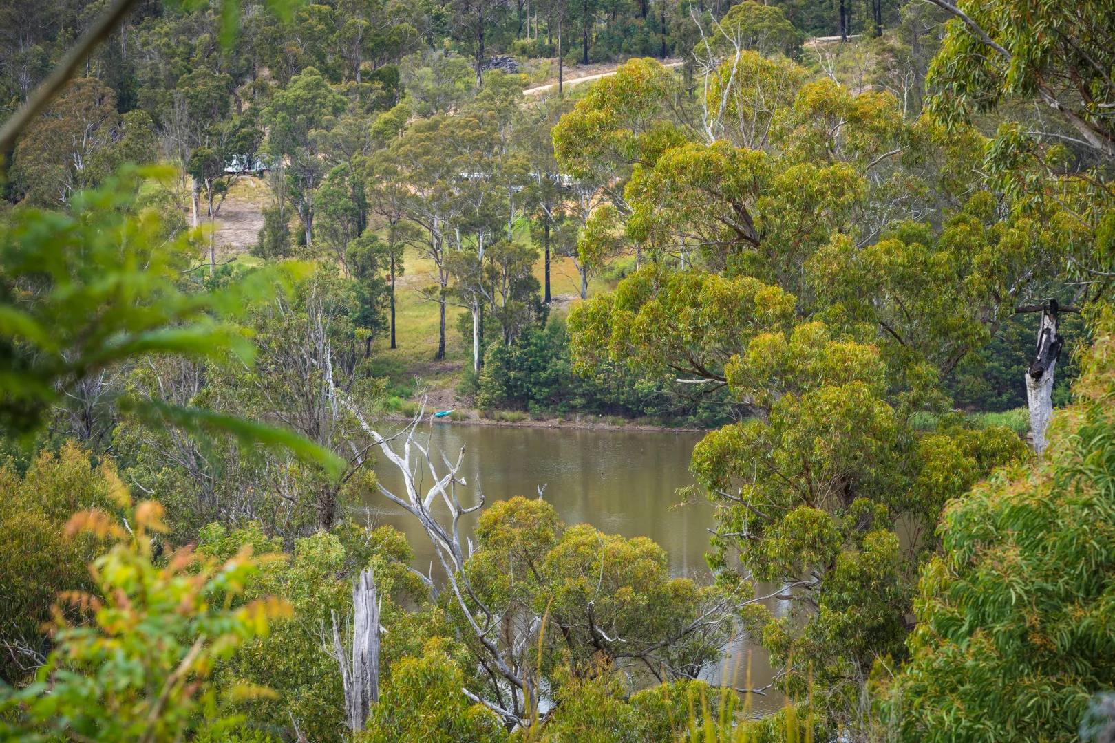 Additional image 6 of 1171 Princes Highway, Kiah NSW 2551