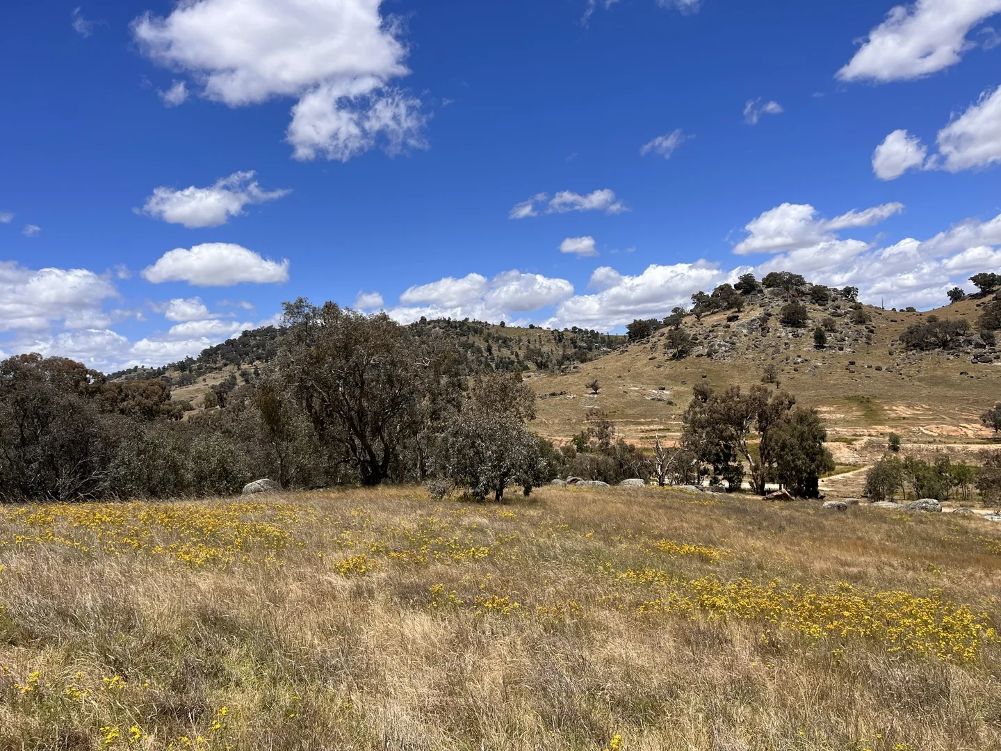 Additional image 20 of Lot 3 Tarrants Gap Road, Wyangala NSW 2808