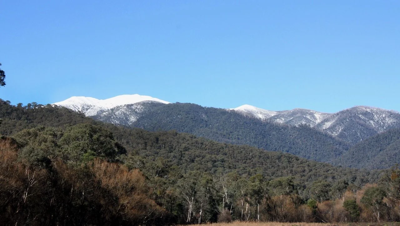 Additional image 9 of Smoko VIC 3741