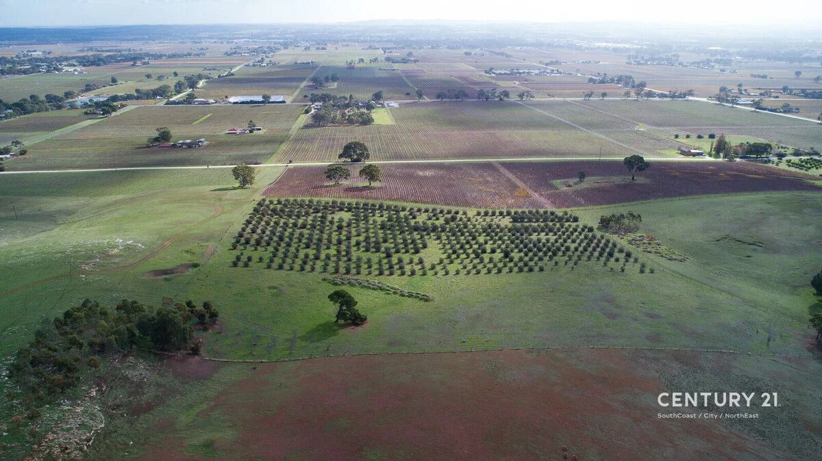 Additional image 7 of Lot 404 Richard Street, Penrice SA 5353