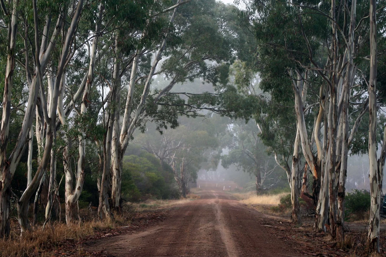 Additional image 4 of 55 Rifle Range Road, Edenhope VIC 3318
