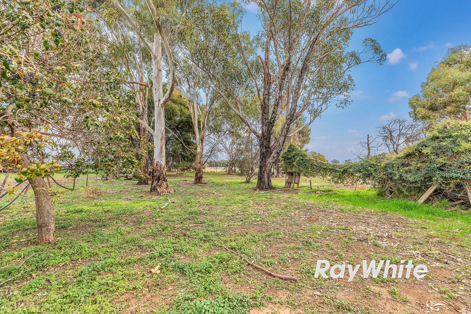 Additional image 19 of 1731 Lowrie Road, Kotta VIC 3565