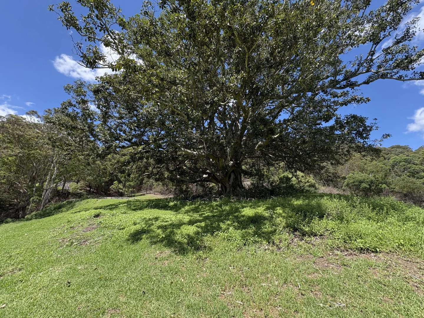 Additional image 14 of 65c Marden Lane, Kangaroo Valley NSW 2577