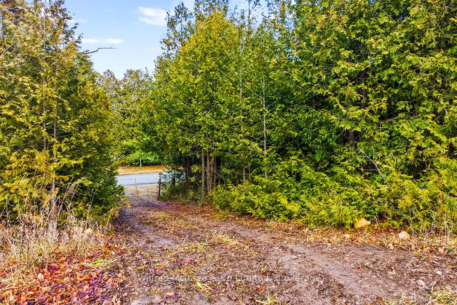 Additional image 7 of Ptlt 16 5 Side Road Part 2 16R6350