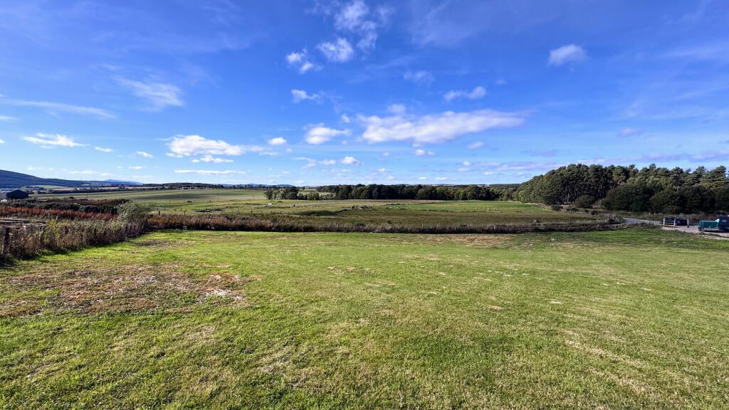 Additional image 8 of Bracobrae, Keith, AB55