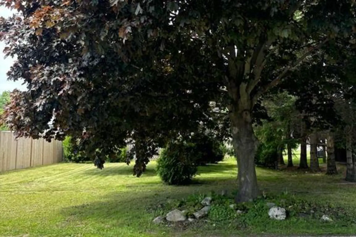 Additional image 2 of 409 Wall Street