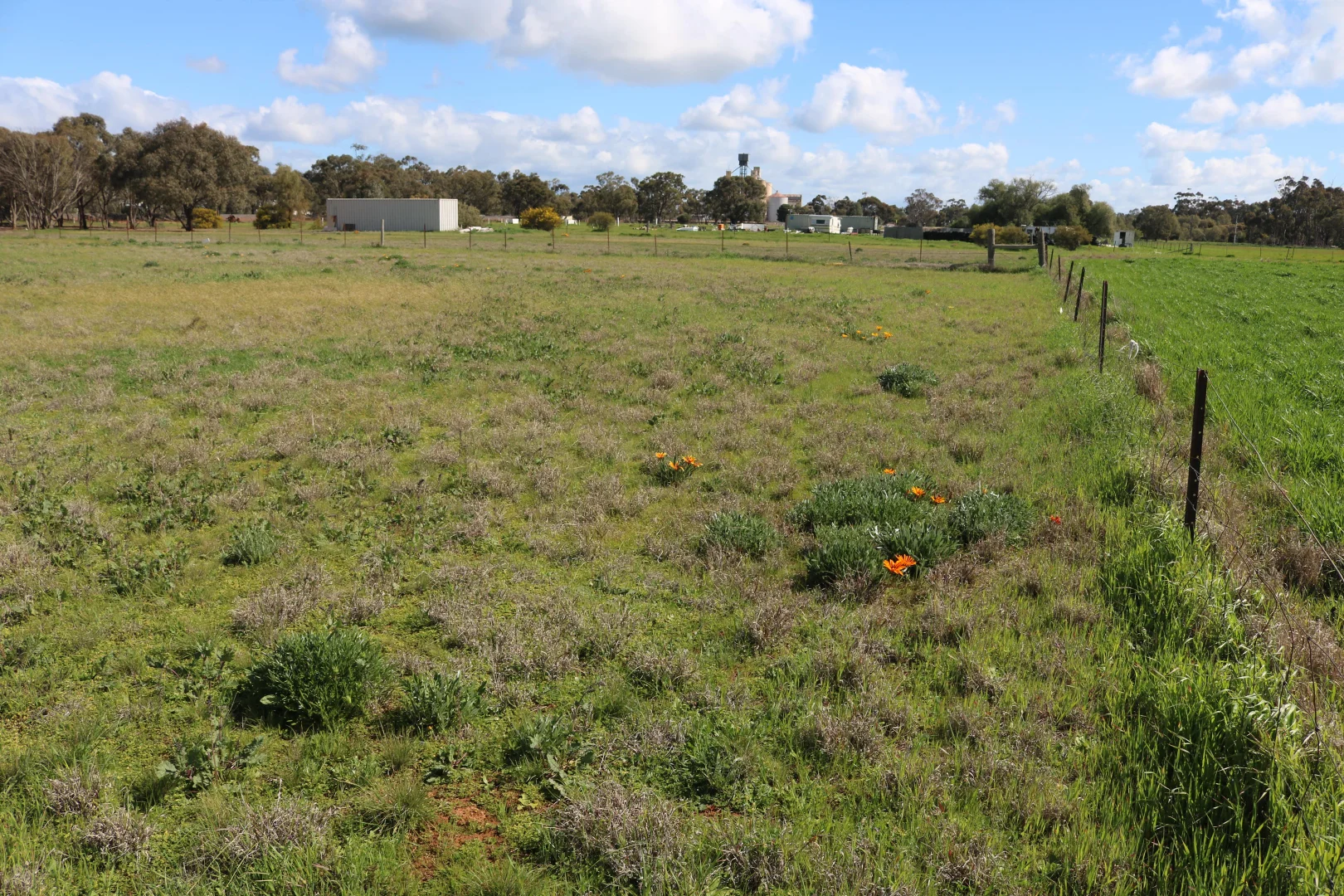 Additional image 8 of 21 Gunyah Flat Road, Charlton VIC 3525