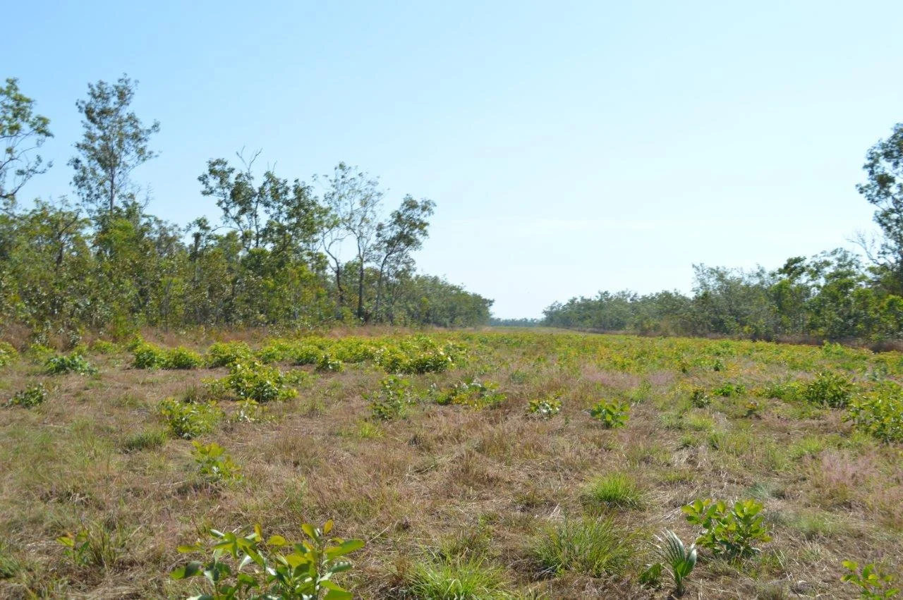 Additional image 14 of Acacia Hills NT 0822