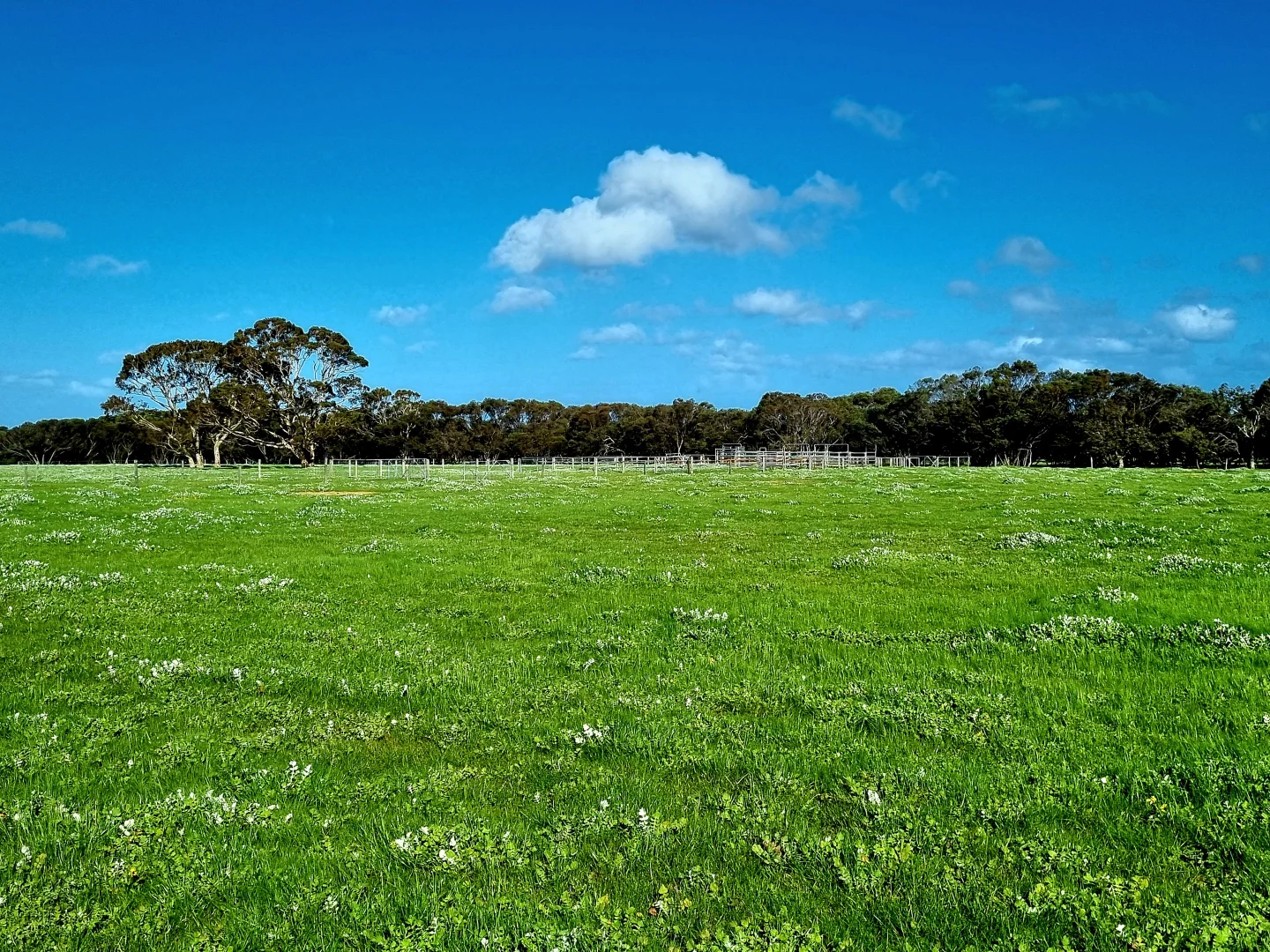 Additional image 16 of 958 Crabbs Road, Newland SA 5223