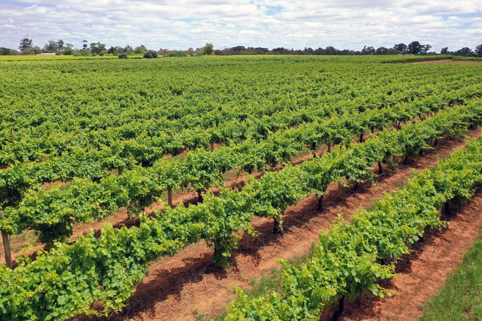 Additional image 2 of Lot 2/70 Belar Avenue Extension, Irymple VIC 3498