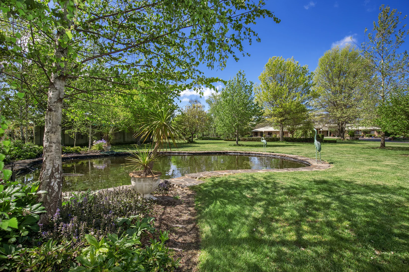 Additional image 4 of 191 Thunderbolts Way, Walcha NSW 2354