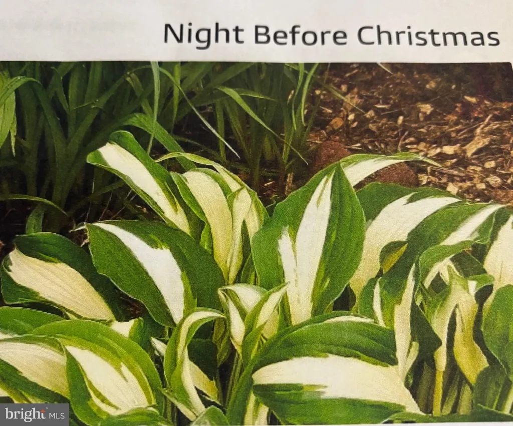 Additional image 60 of 6 Bradley Circle, Middletown, DE 19709