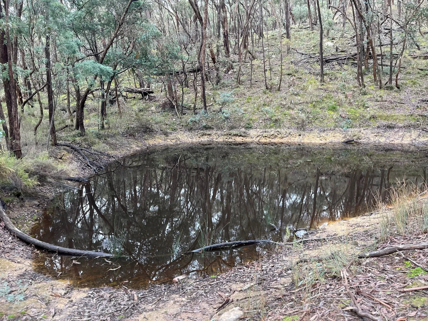 128 Nayla, Drummond North VIC 3446