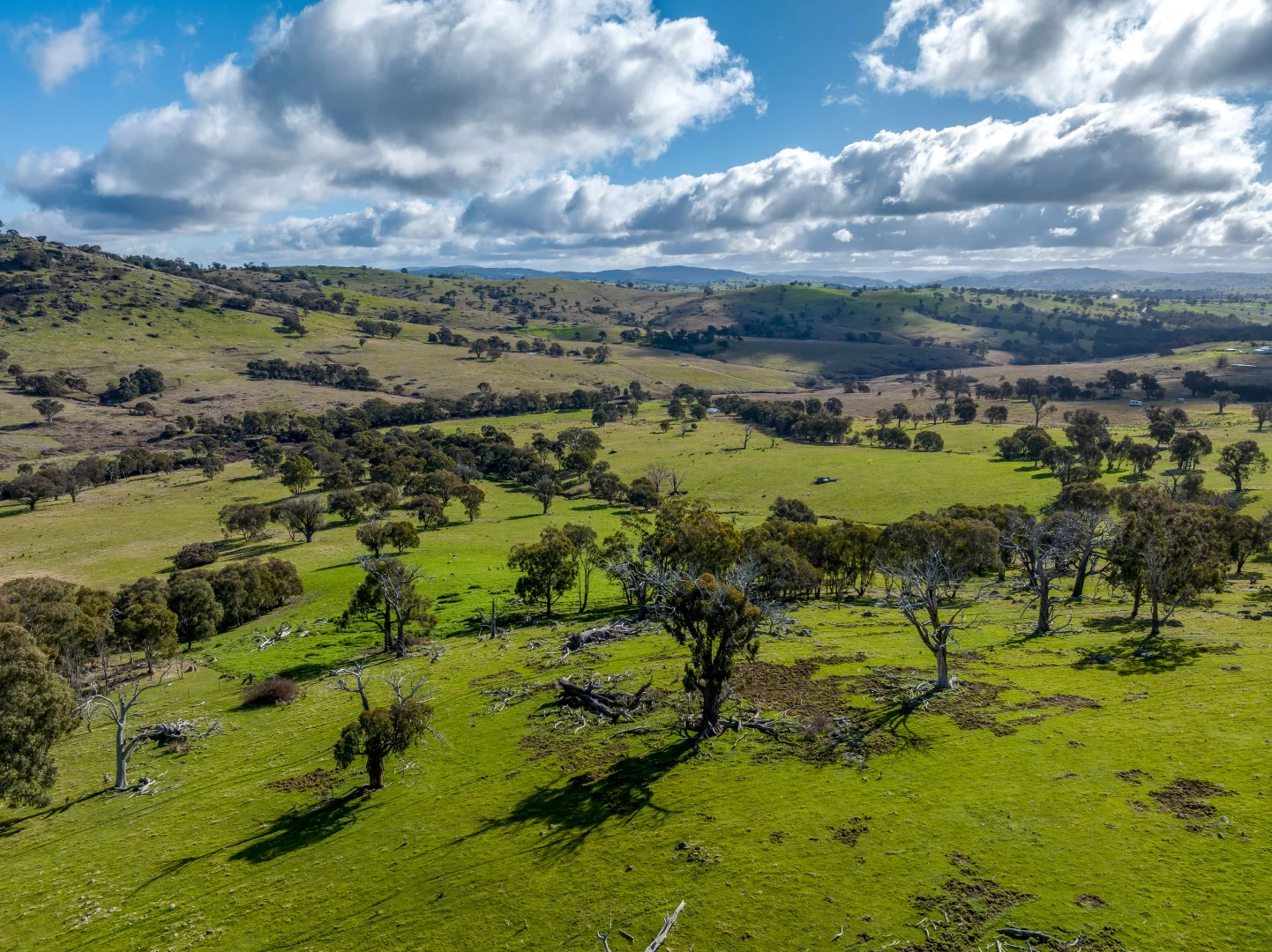 Additional image 12 of 2306 Bigga Road, Bigga NSW 2583