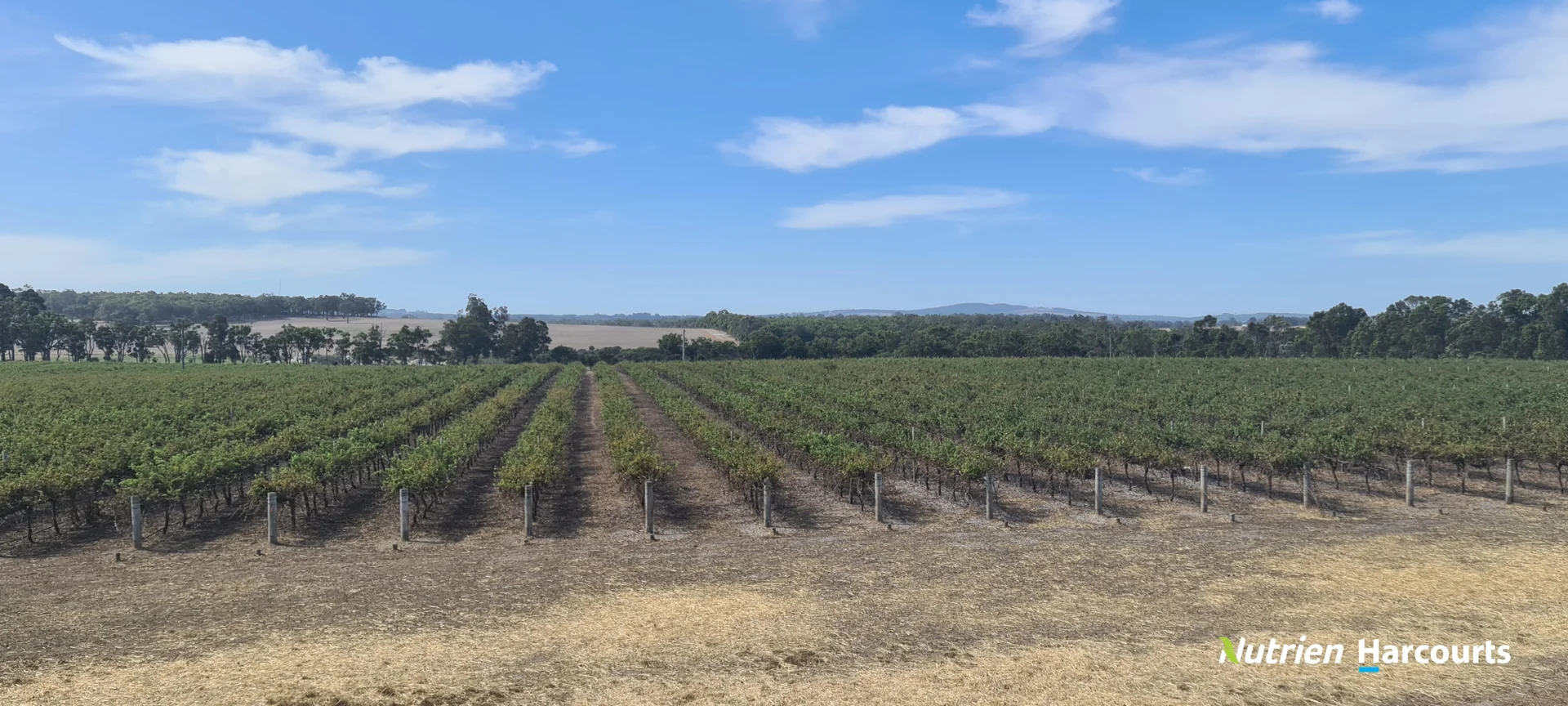 Additional image 6 of 267 Spencer Road, Narrikup WA 6326