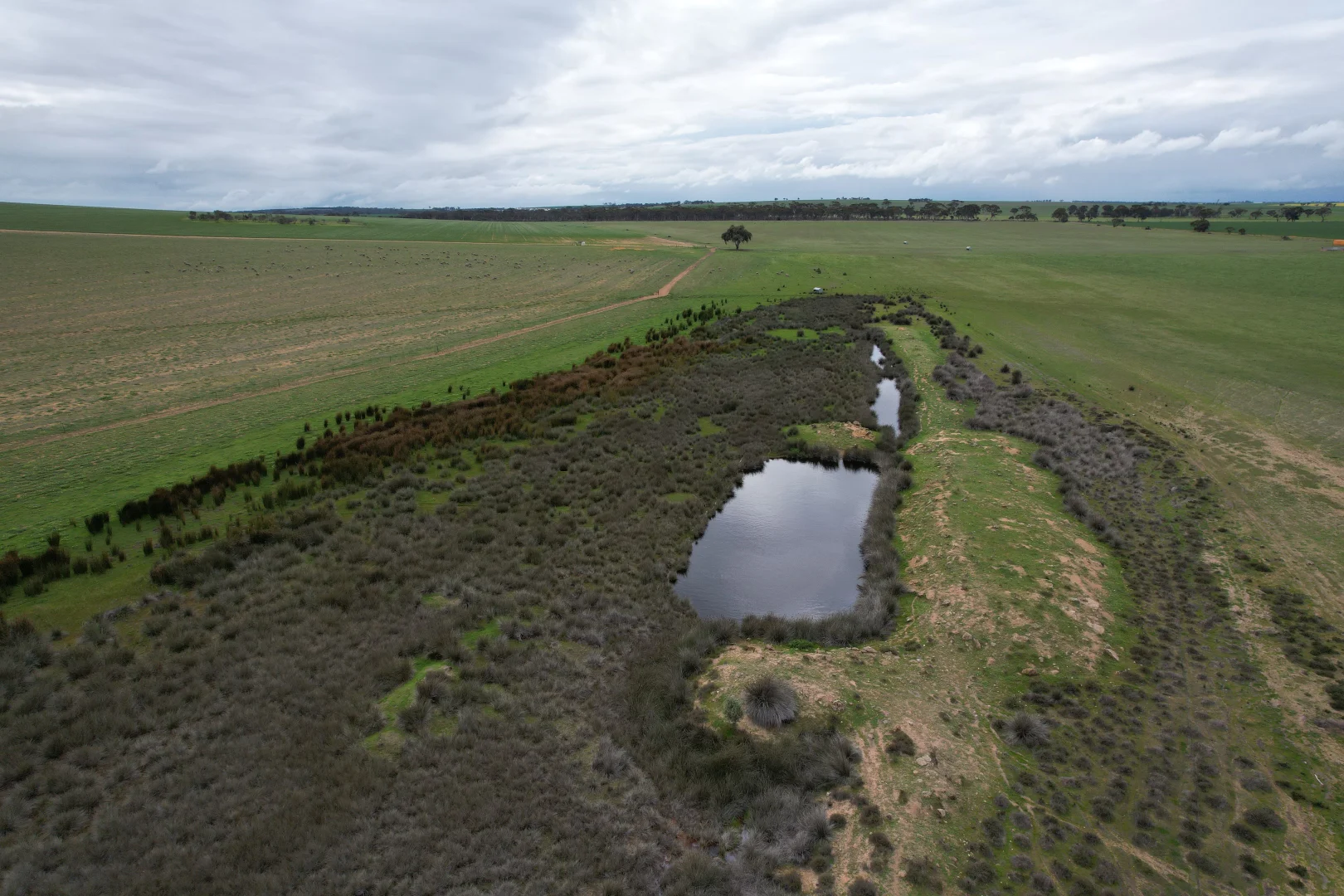 Additional image 6 of Quairading South Road, Dangin WA 6383