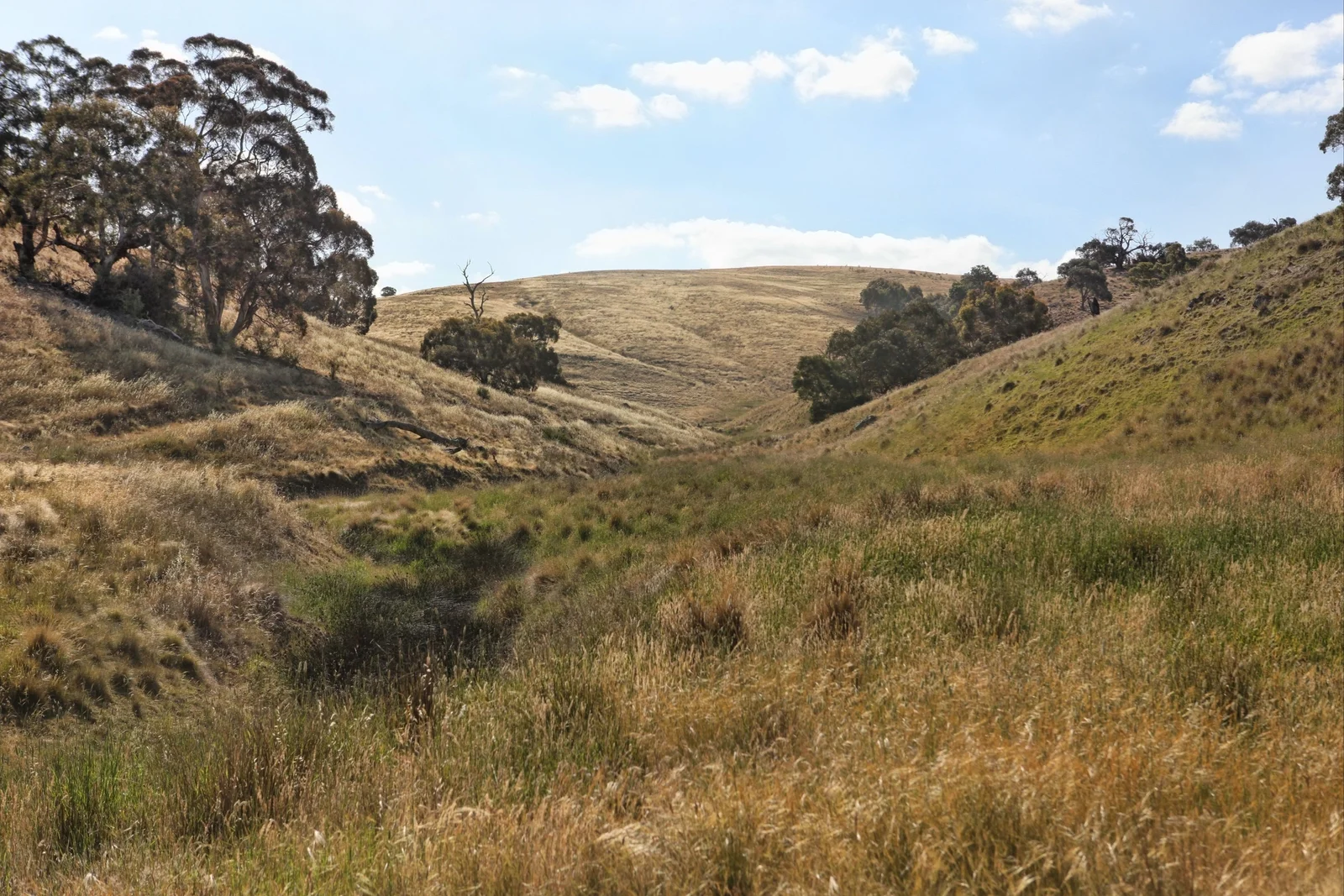 Additional image 20 of 490 Settlement Road, Sunbury VIC 3429