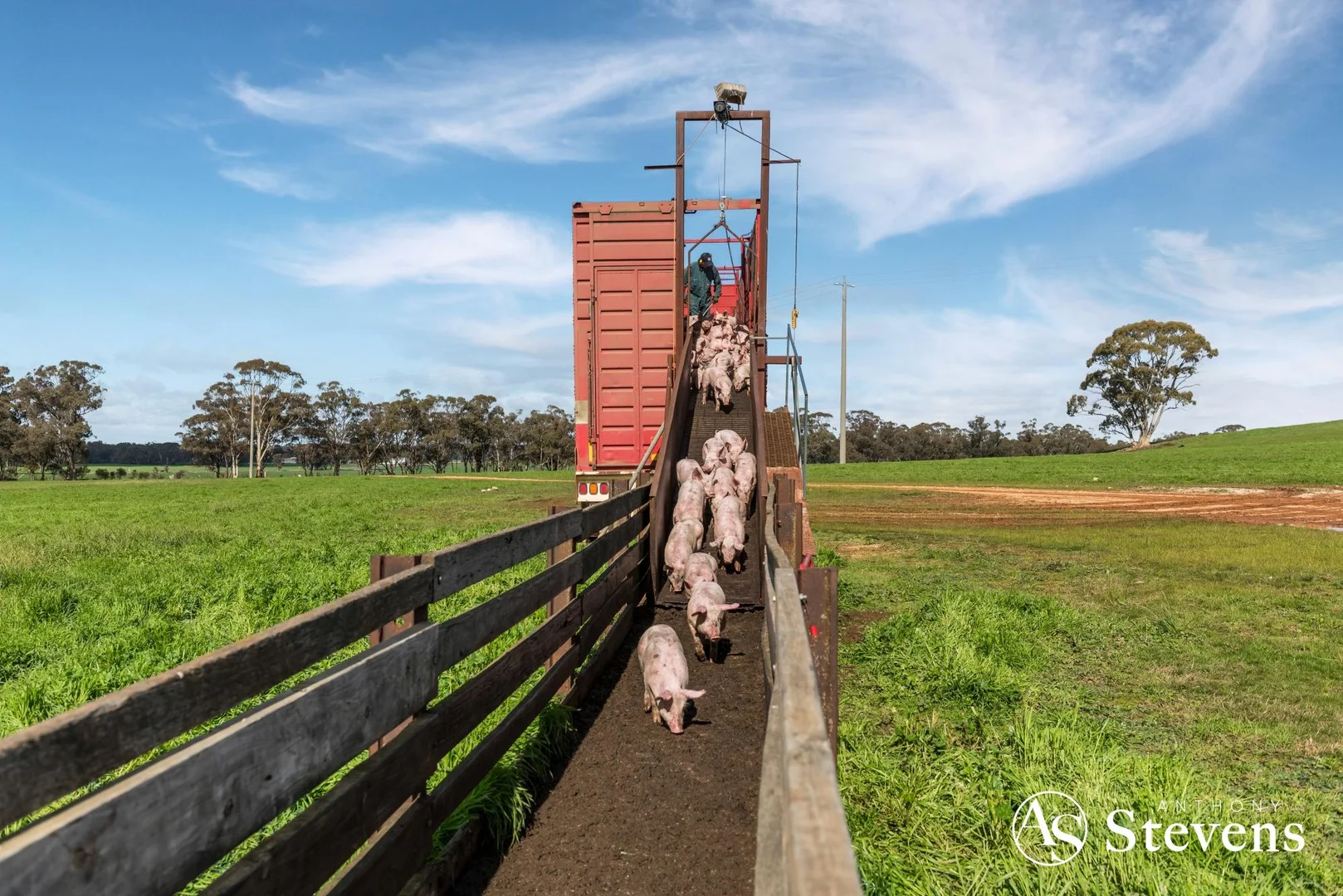 Additional image 4 of 499 Old Wedderburn Road, Slaty Creek VIC 3477